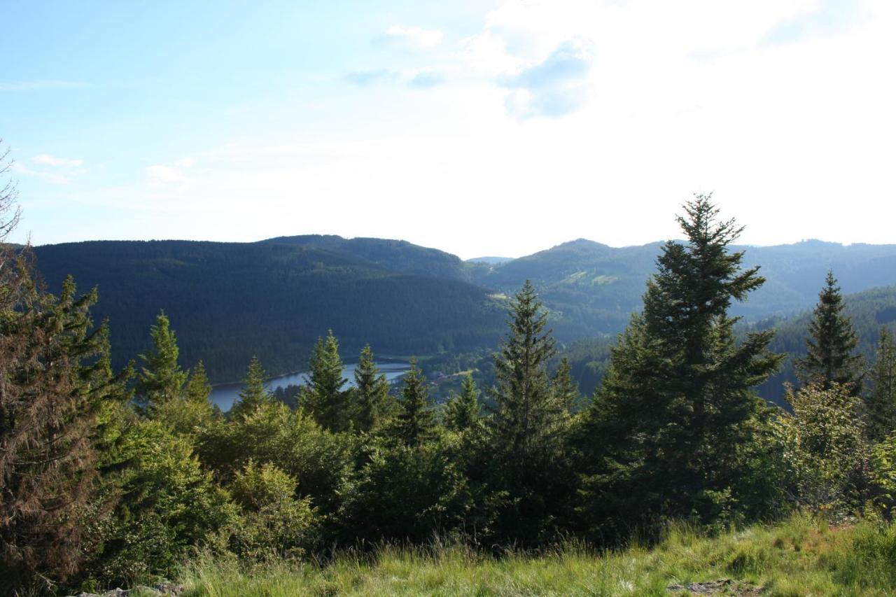Black-forest - Am