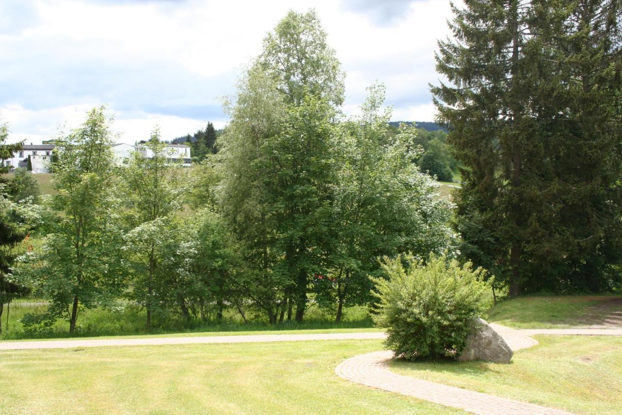 Black-forest - Am *