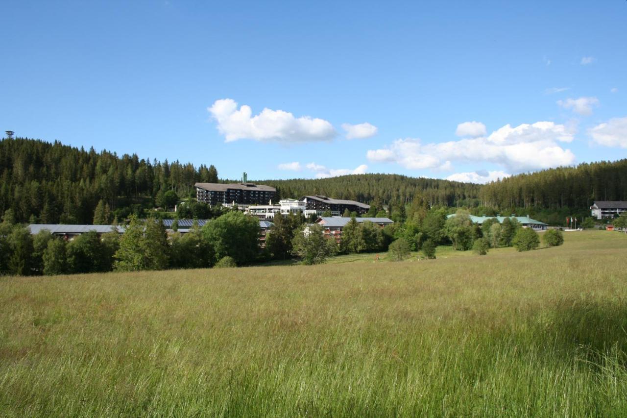 Black-forest - Am Schluchsee