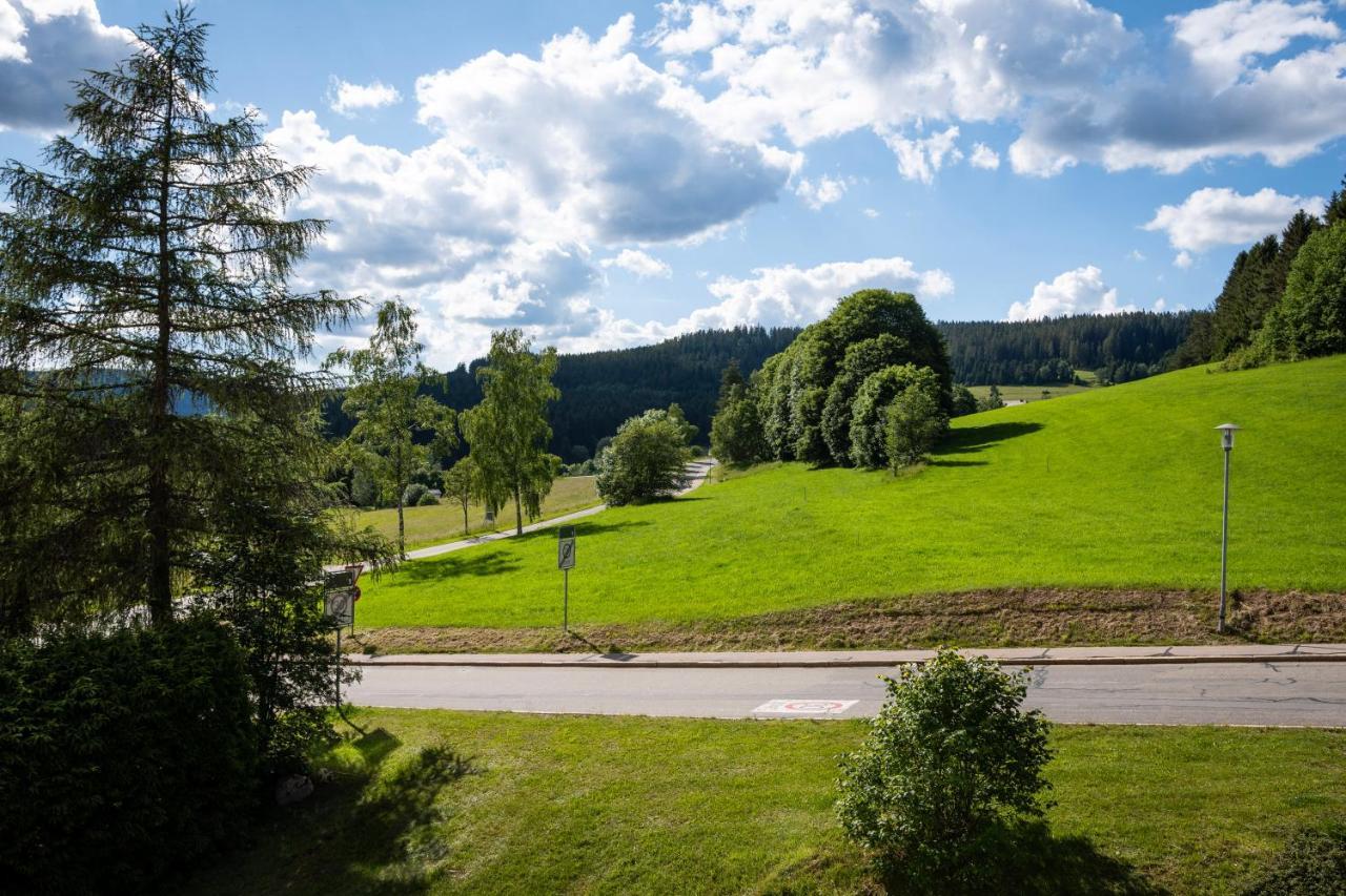 Black-forest - Am