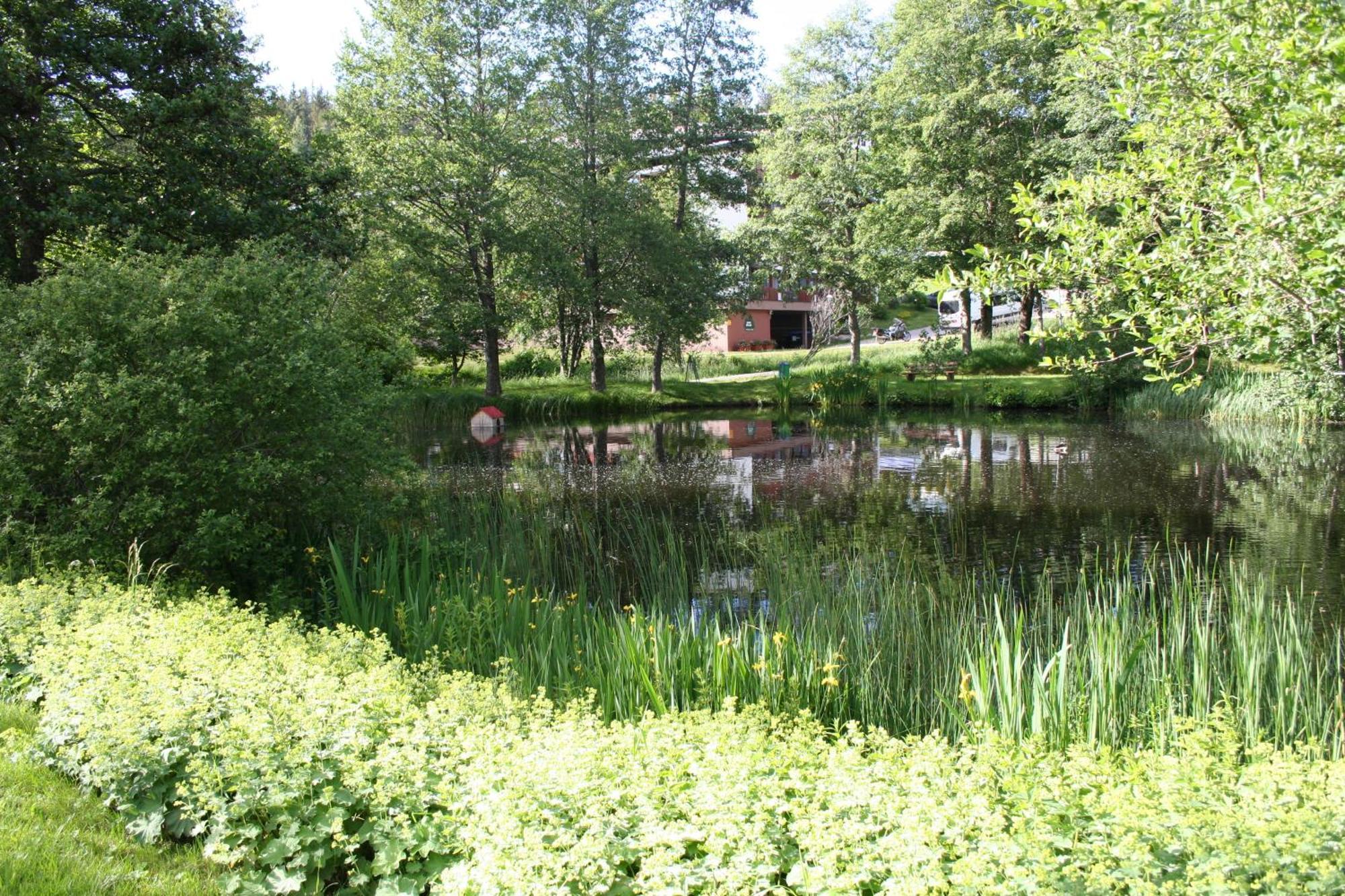 Appartement Black-forest - Am Schluchsee