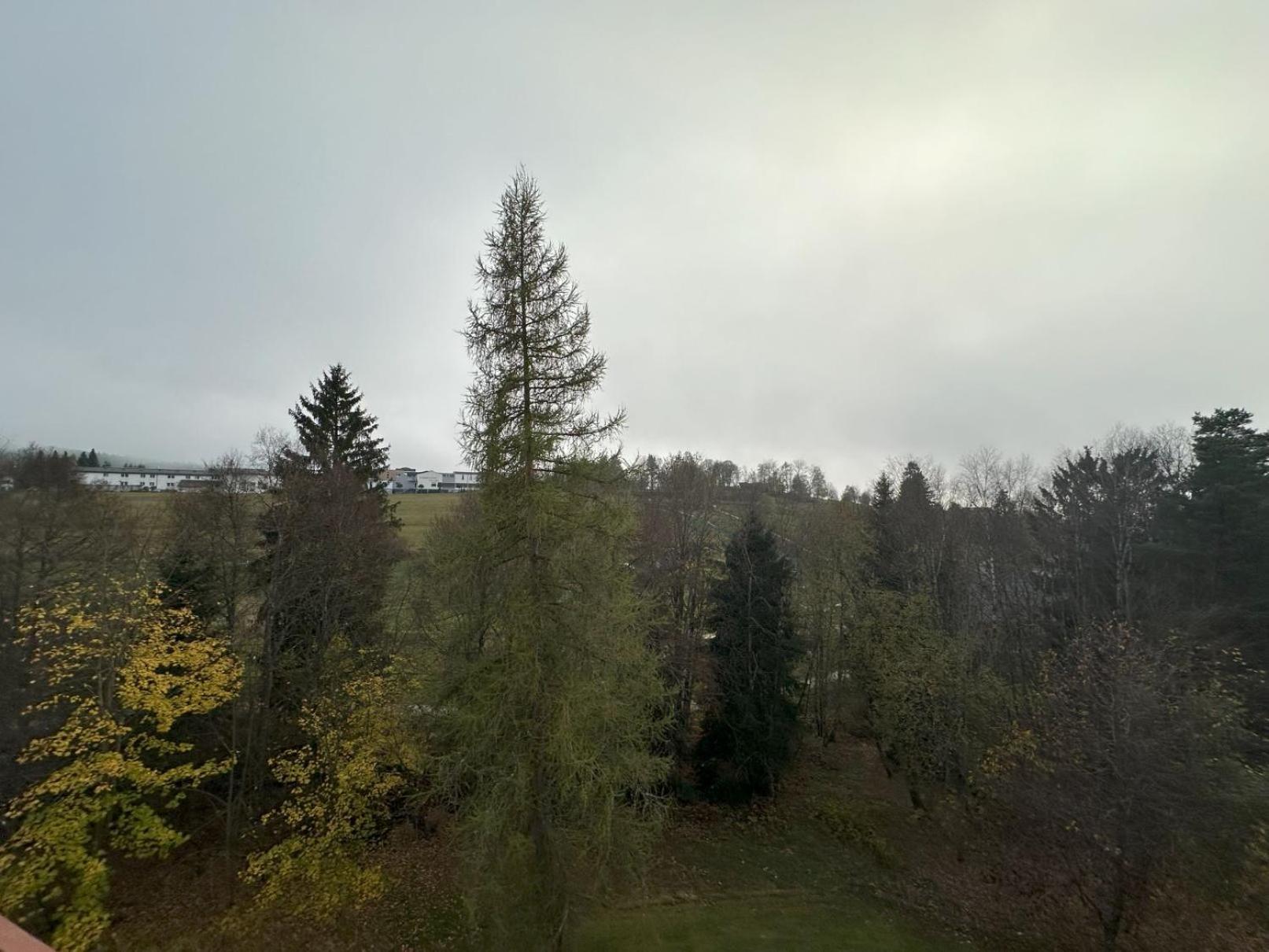 Black-forest - Am Appartement